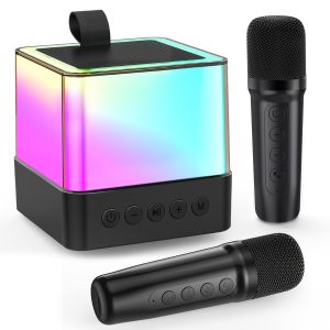 2 Wireless Karaoke Machine for Kids & Adults Portable Bluetooth Speaker