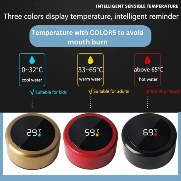 Temperature Display Vacuum Insulated Water Bottle